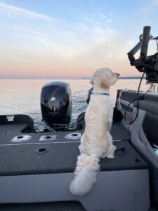 Jon's dog enjoying the view on the Legend X20